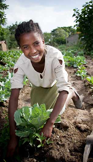 Ethiopia Food Agriculture   